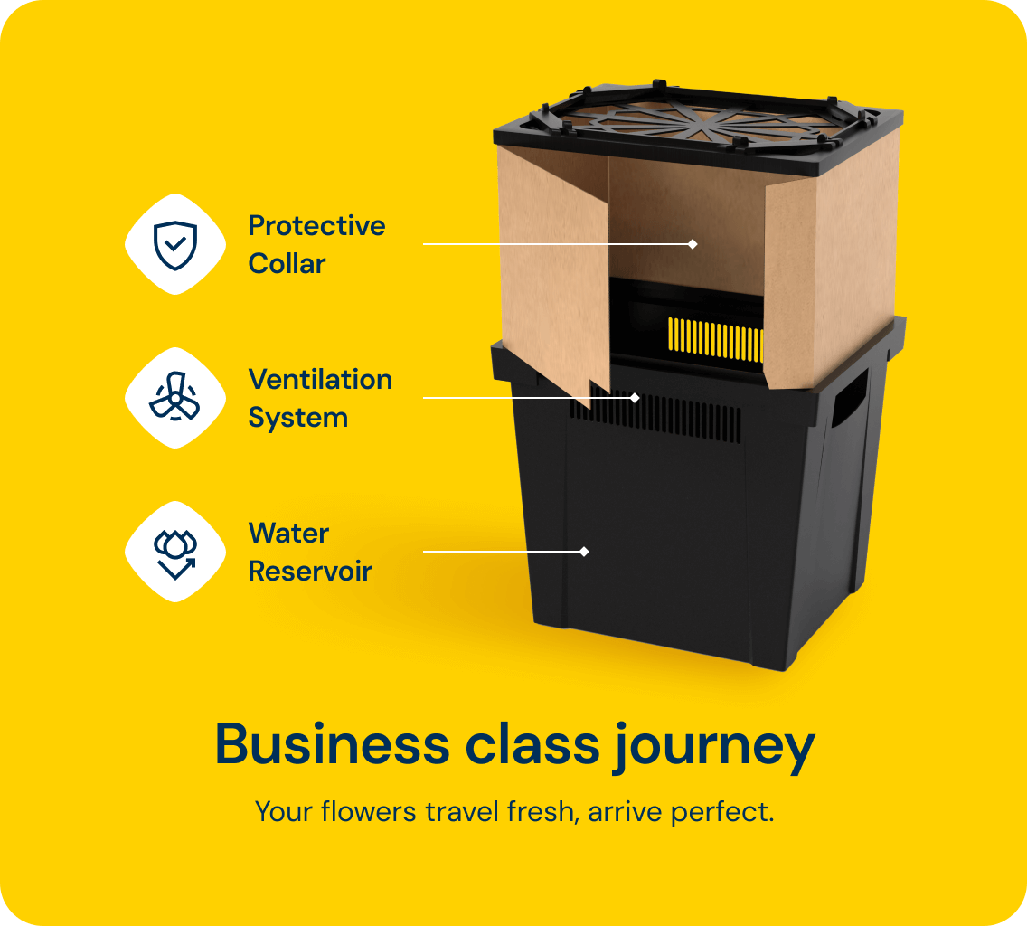 Business class journey — Procona system with protective collar, ventilation system, and water reservoir