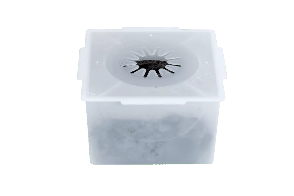 Square Porto 20XL flower packaging