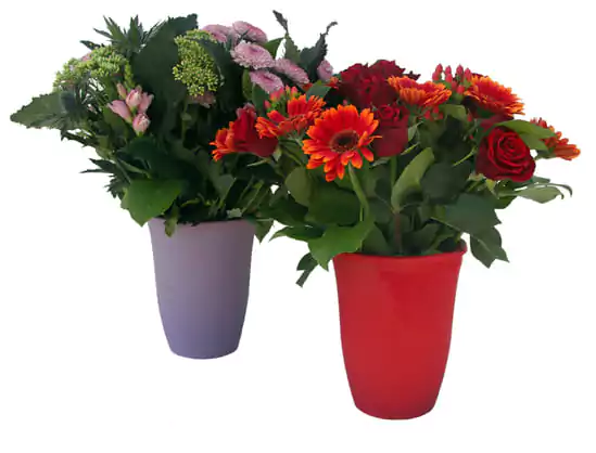 Red and purple PortoVase filled with bouquets