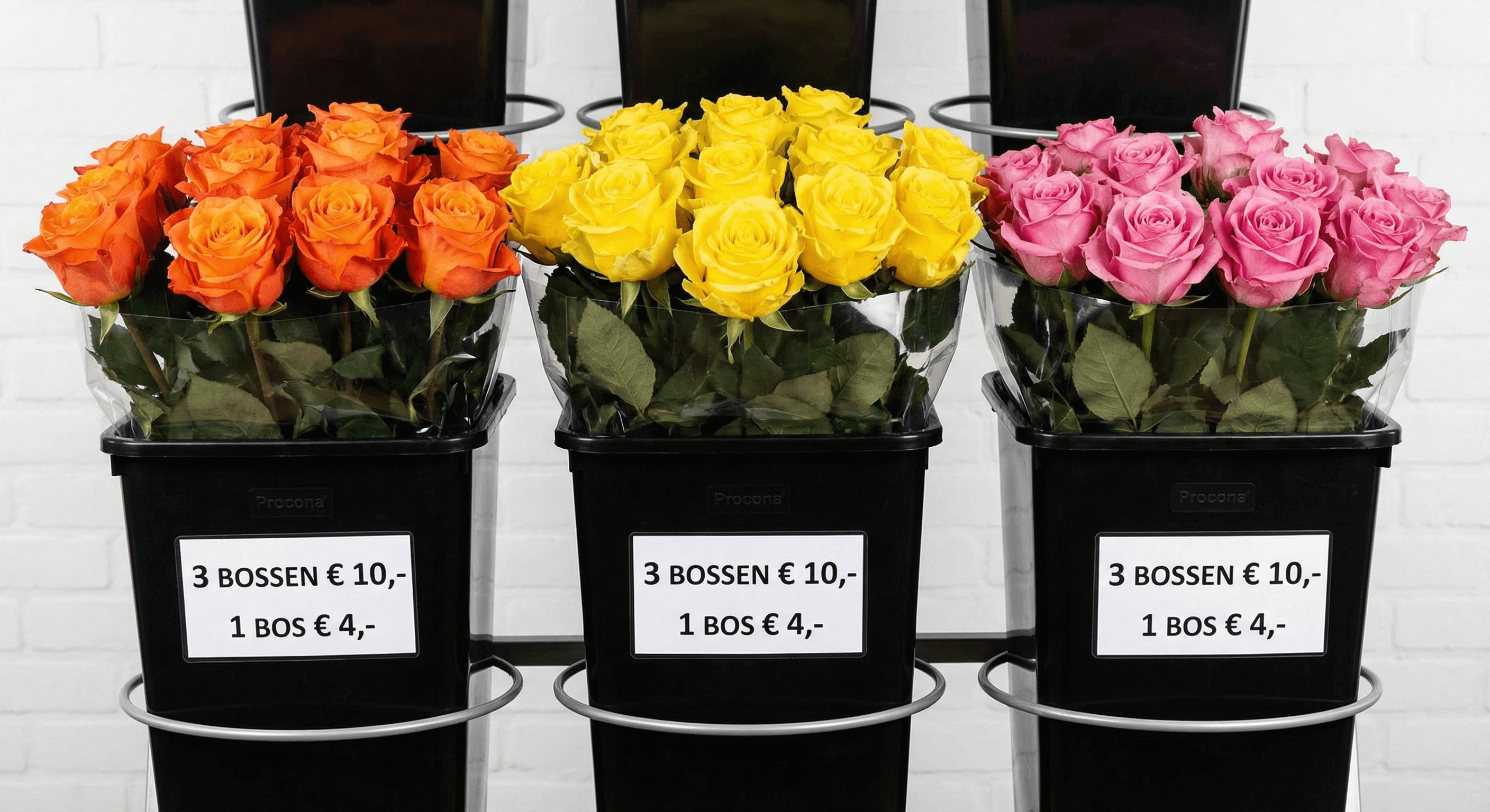 Procona buckets with colorful roses displayed on Pagter display hoops