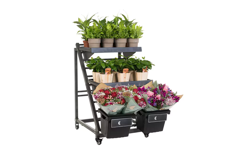 Procona Bali compact counter-front display