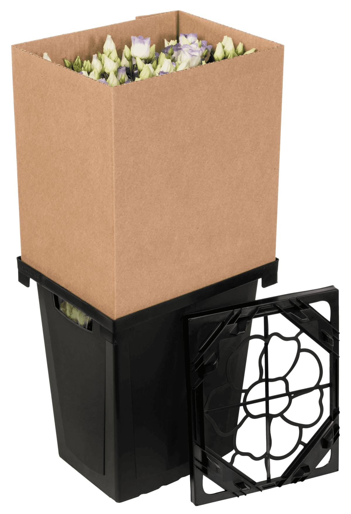 Procona Florida detail view showing compact dimensions and reinforced construction