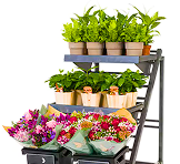 Pagter retail display systems