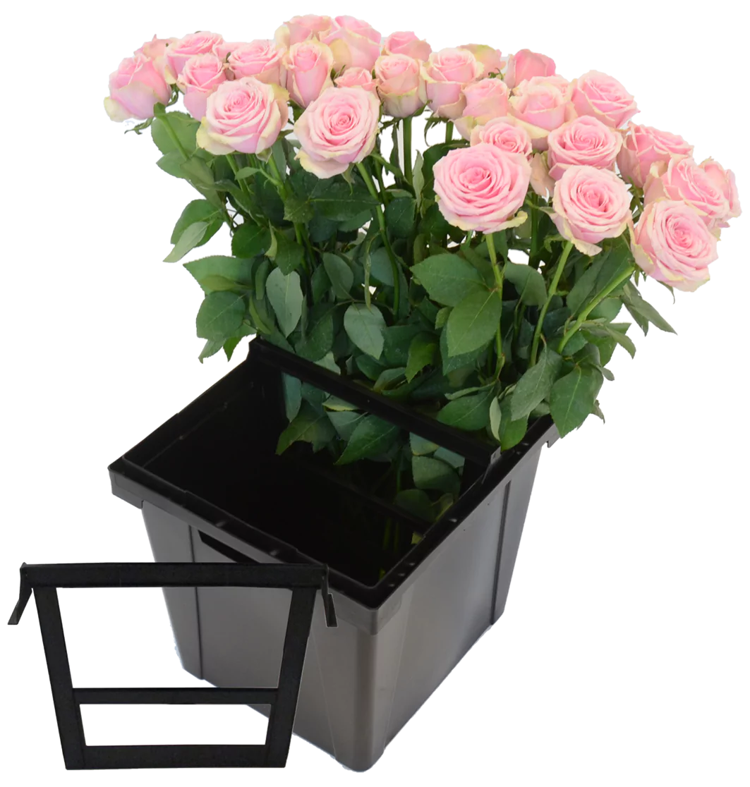 Procona partition divider