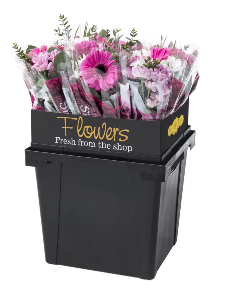 Procona promotional collar