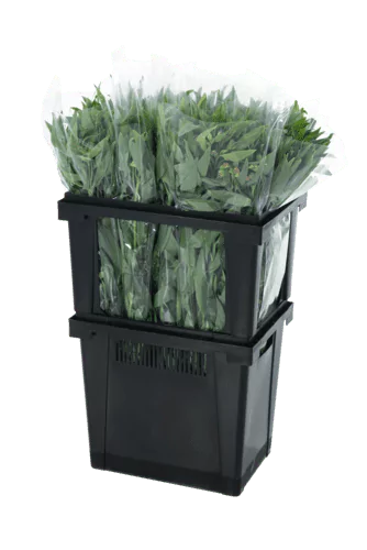 Procona top frame extension