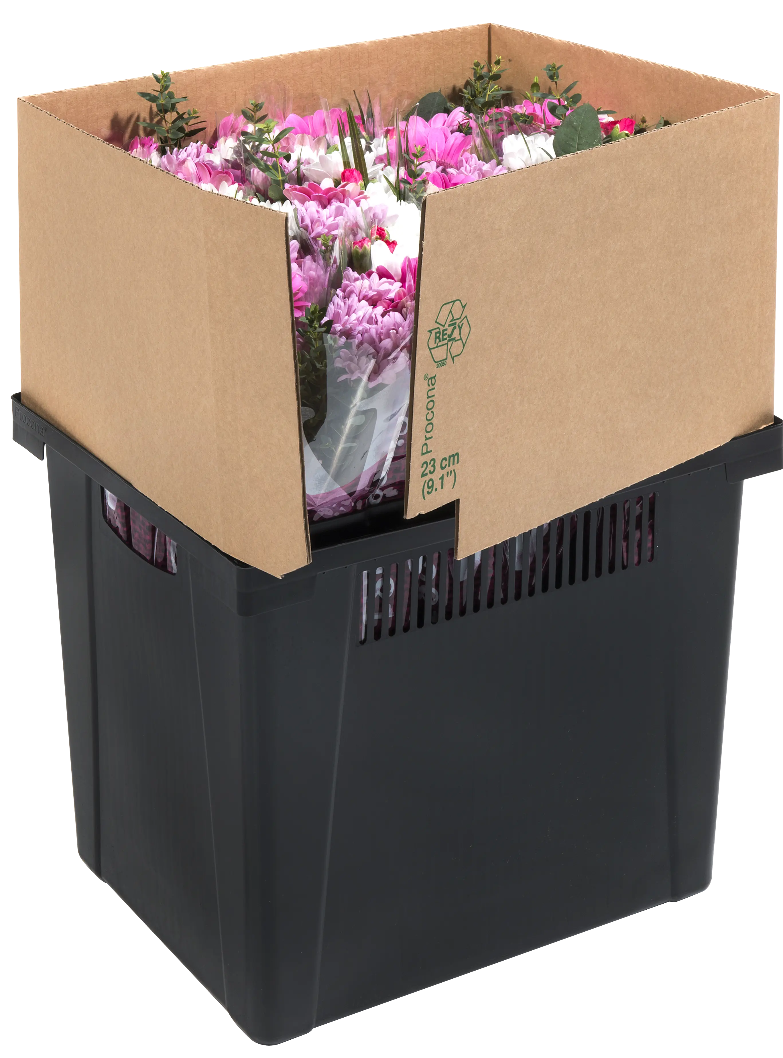 Procona Valencia bucket with flowers