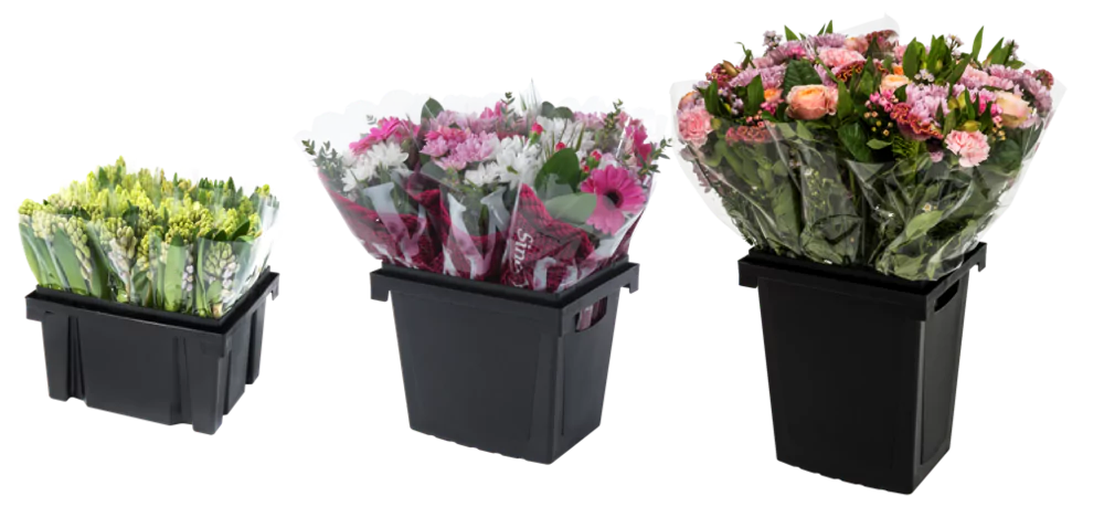 Launch of Procona Florida compact flower bucket in 1998