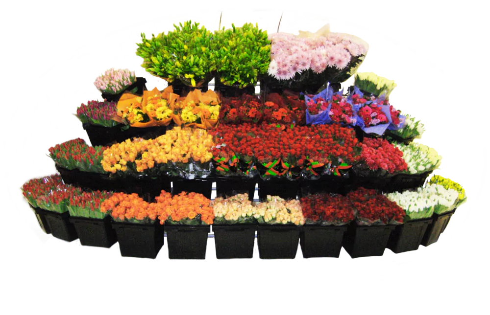 Launch of Pagter retail display systems in 2010 — Madeira, Pico, Bali